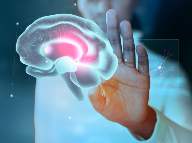 Food reward,dopamine