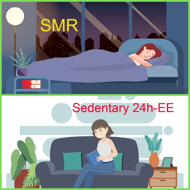 SMR, Sedentary 24h-EE
