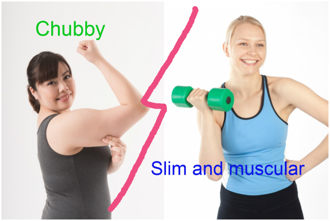 muscular vs chubby