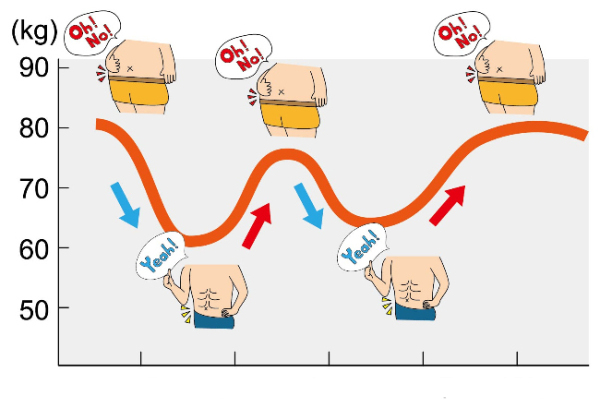 the rebound effect