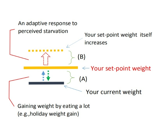 Two meaning to the phrase 'gaining weight'