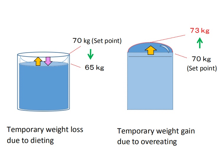 Weight gain due to overeating